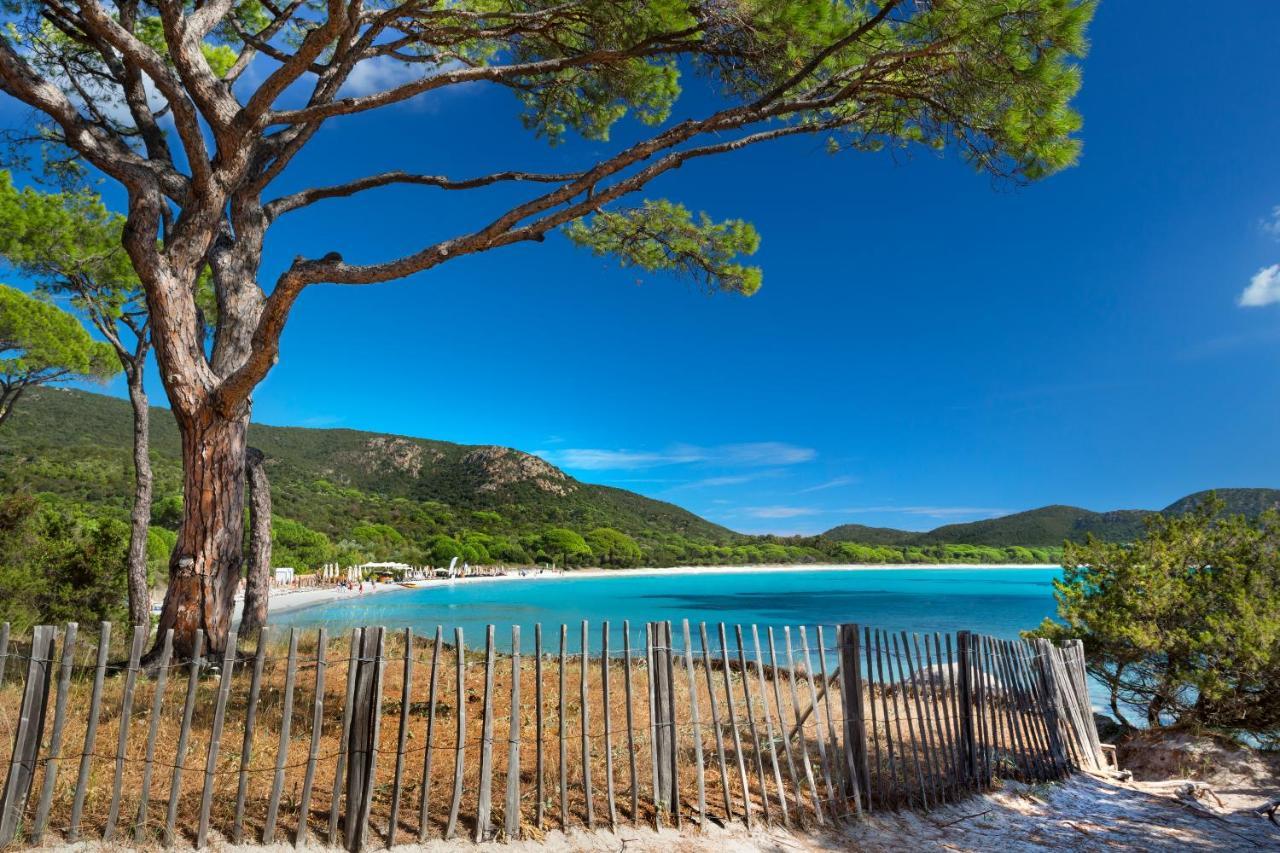 Villa Les Lieges De Palombaggia Porto-Vecchio  Eksteriør bilde